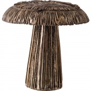 Mushroom - Detail from Mushroom Bed